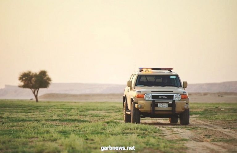 ضبط مواطنَين اصطادا صقرين في جازان