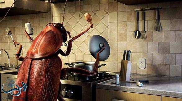 7 أشياء تجذب الصراصير إلى مطبخك