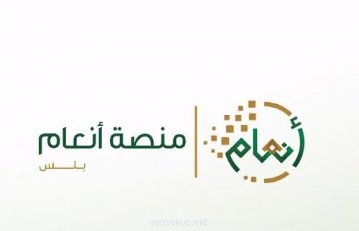 البيئة تطلق خدمتي إذن الدخول والخروج للهجن المشاركة في المسابقات والمهرجانات عبر أنعام بلس