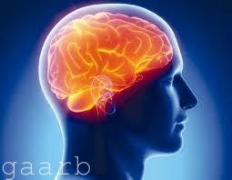 موجات المخ الكهربائية تساعد المصابين بالشلل