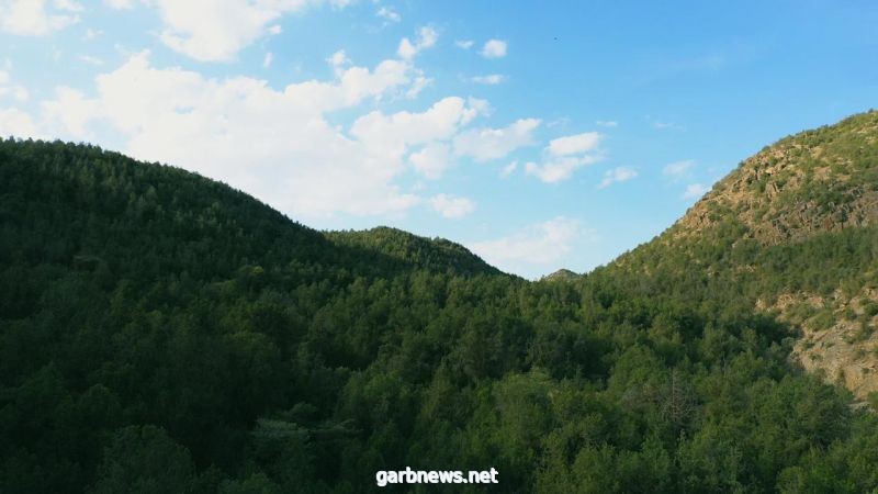 الباحة.. عروس الغابات والغيوم