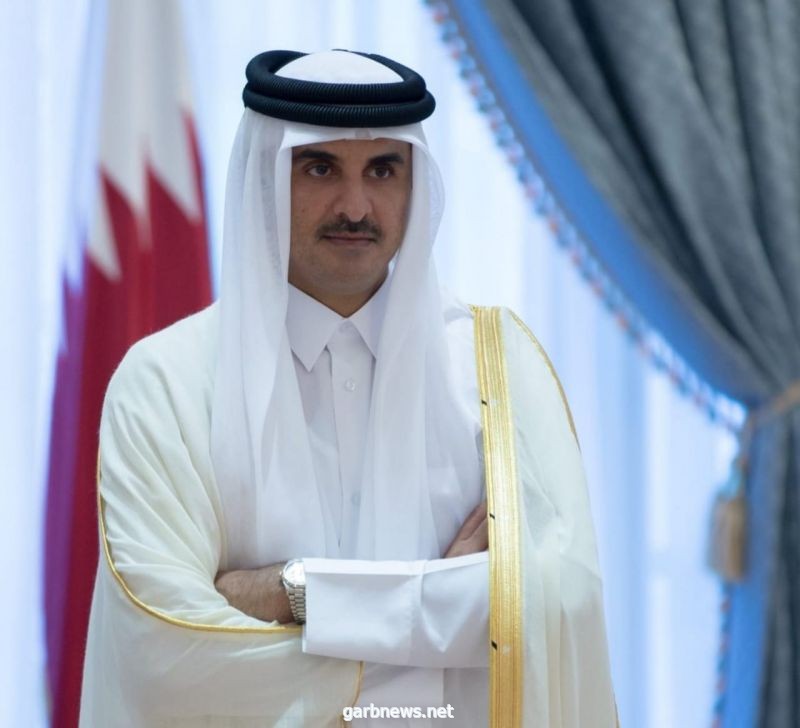 أمير قطر يعين سفيراً لبلاده لدى مصر