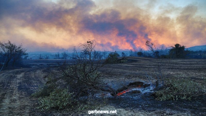 عشرات الجرحى في حريق غابات بتركيا