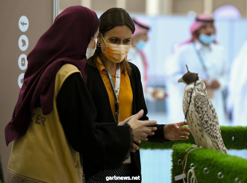 الفرنسية ساندرا: مشاركتي في المزاد الدولي لمزارع إنتاج الصقور ستكون مميزة ومختلفة