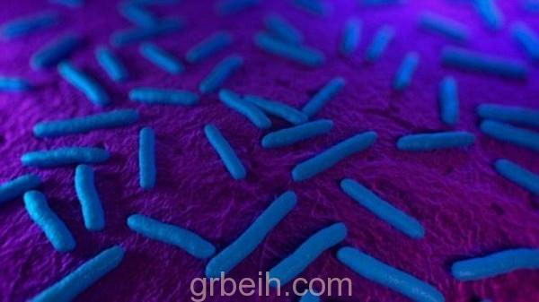 بكتيريا قاتلة قد تكتب نهاية المضادات الحيوية