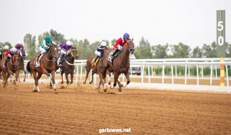 نادي سباقات الخيل يقيم حفل سباقه السادس عشر