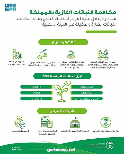 مركز الغطاء النباتي يتبنى مشروعًا لمكافحة النباتات الغازية والدخيلة على البيئة المحلية