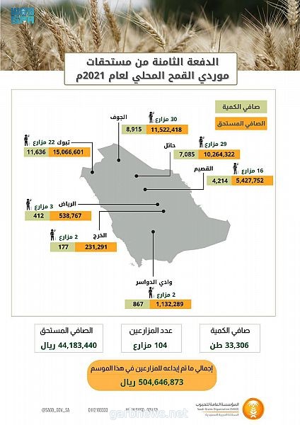 المؤسسة العامة للحبوب تبدأ صرف مستحقات الدفعة الثامنة لمزارعي القمح المحلي.