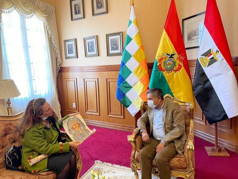 وزير الخارجية البوليفي يستقبل السفيرة المصرية بمناسبة قرب انتهاء مهمتها