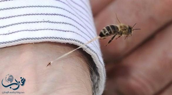 النحل.. أكبر تهديد للصحة العامة في أستراليا