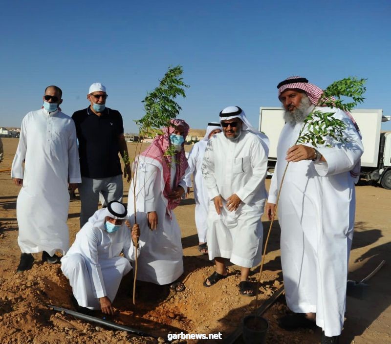 جمعية أصدقاء البيئة والبلدية في محافظة الزلفي يغرسون 91 شتلة