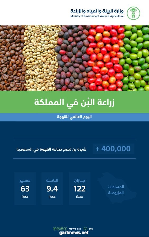 المملكة تحتفي باليوم العالمي للقهوة بتعزيز وتطوير قدراتها الإنتاجية من البن