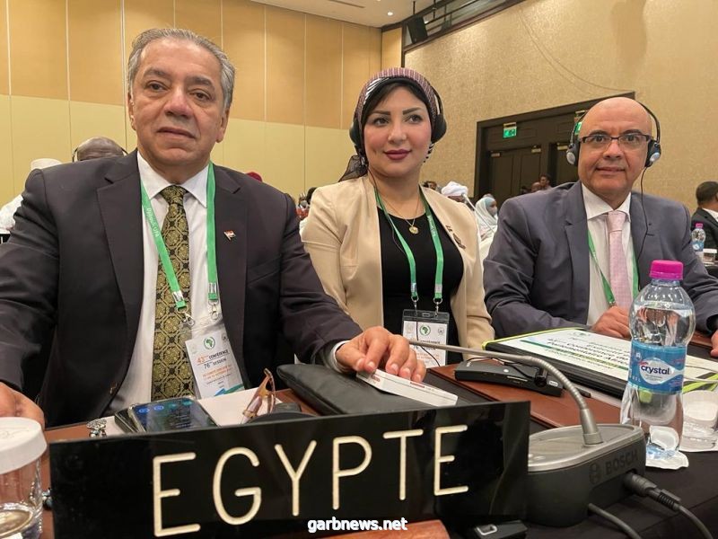 مصر تقتنص منصب نائب رئيس اللجنة التنفيذية باتحاد البرلمانات الافريقية