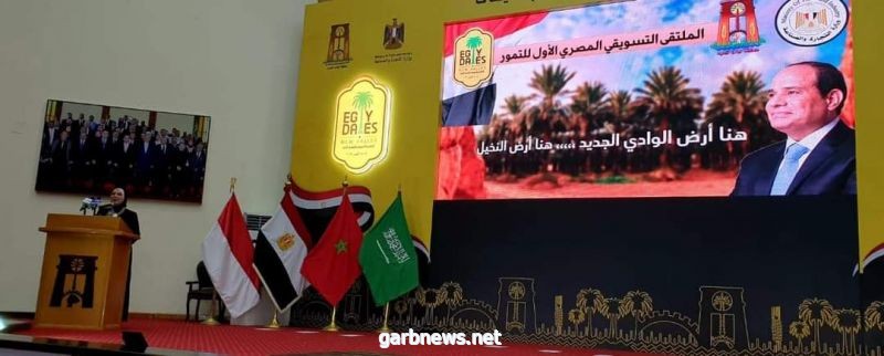 وزير التنمية المحلية المصرى : الوادى الجديد أكبر قلاع التمور المصرية