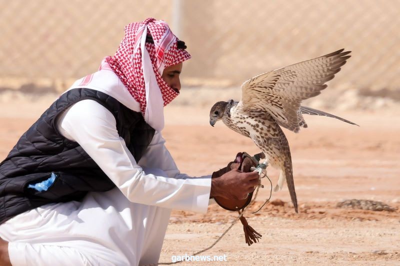تحدي "القرانيس" يشعل منافسات مهرجان الملك عبدالعزيز للصقور 2021
