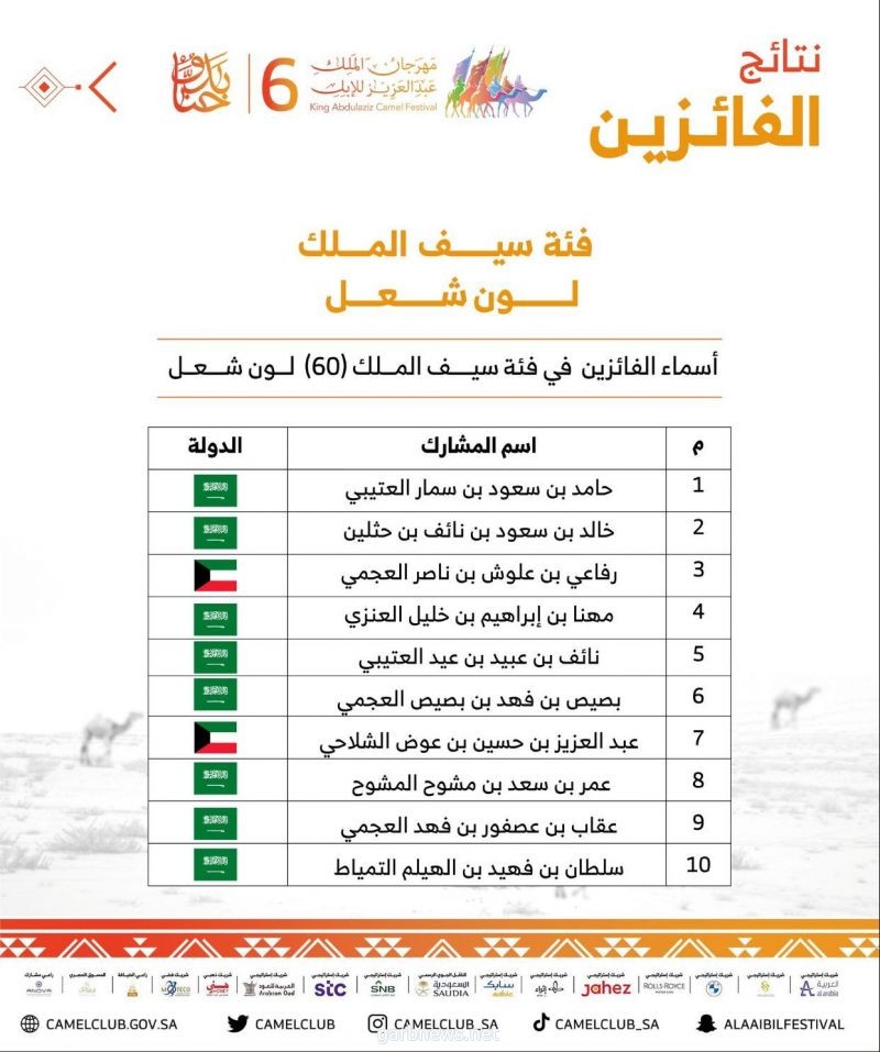 إبل رجل الأعمال حامد الكرشمي تحقق المركز الأول بمهرجان الملك عبدالعزيز للإبل