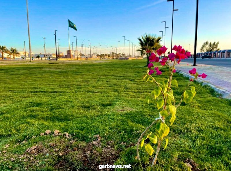 بلدية بيشة: حدائق المحافظة مُتنفسات للأهالي ولتبقى خضراء تم إنجاز ٤٠٠ عملاً ميدانيًا خلال شهر