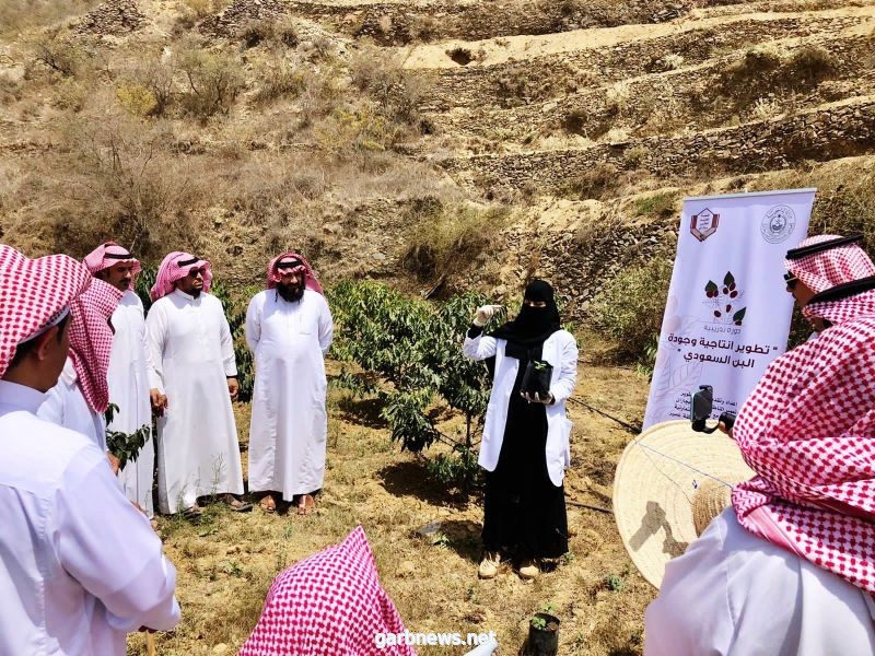 هيئة تطوير وتعمير المناطق الجبلية بجازان تنفذ دورة تدريبيه عن "تطوير إنتاجية وجودة البن السعودي" بمنطقة عسير ..