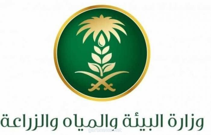 "البيئة" تكثف جولاتها الرقابية على أسواق النفع العام والمسالخ خلال إجازة عيد الفطر المبارك