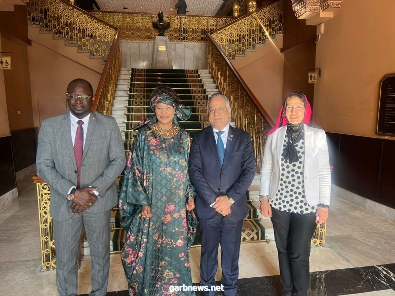 المصريين الأفارقة تبحث مجالات التعاون والاهتمامات المشتركة مع وزيرة خارجية السنغال