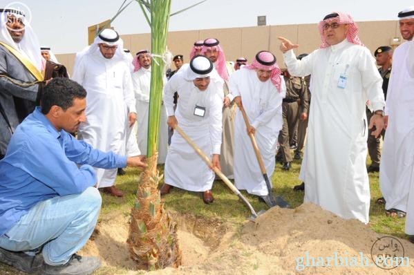 تدشين أسبوع الشجرة الـ 38 بالمنطقة الشرقية