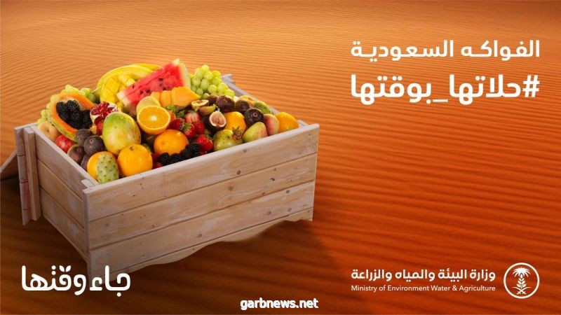 "البيئة" تطلق حملة "جاء وقتها" للتعريف بالفواكه الموسمية