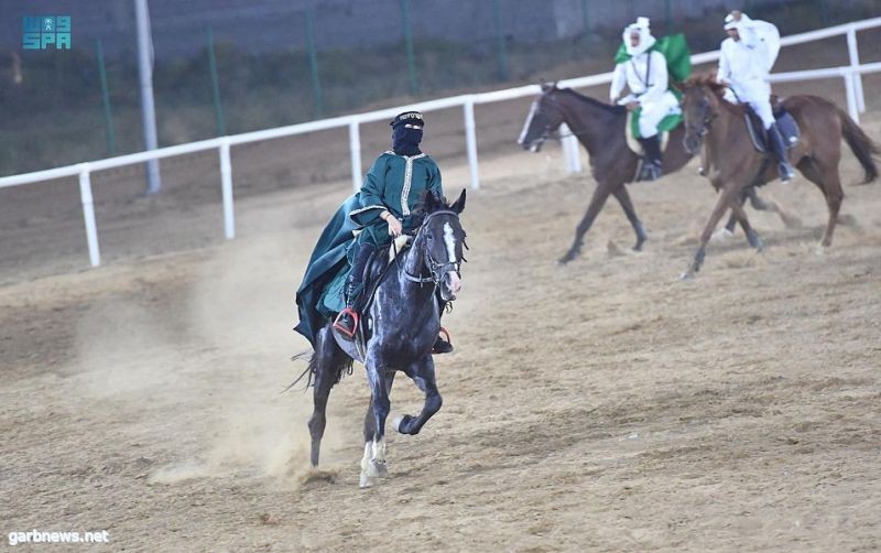 جمعية فُرسان لقفز الحواجز بجازان تنظم عروضاً استعراضية للخيول العربية