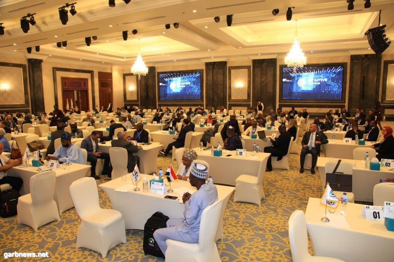 استكمال فاعليات المؤتمر الاقتصادي المصري النيجيري الأول تنظيم " المصريين الافارقة "