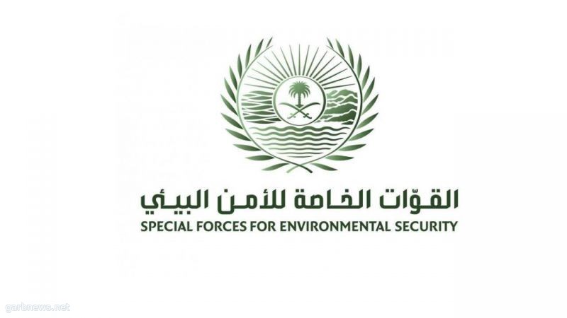 ضبط 24 مخالفًا لنظام البيئة لنقلهم حطبًا محليًا في الرياض والمدينة المنورة