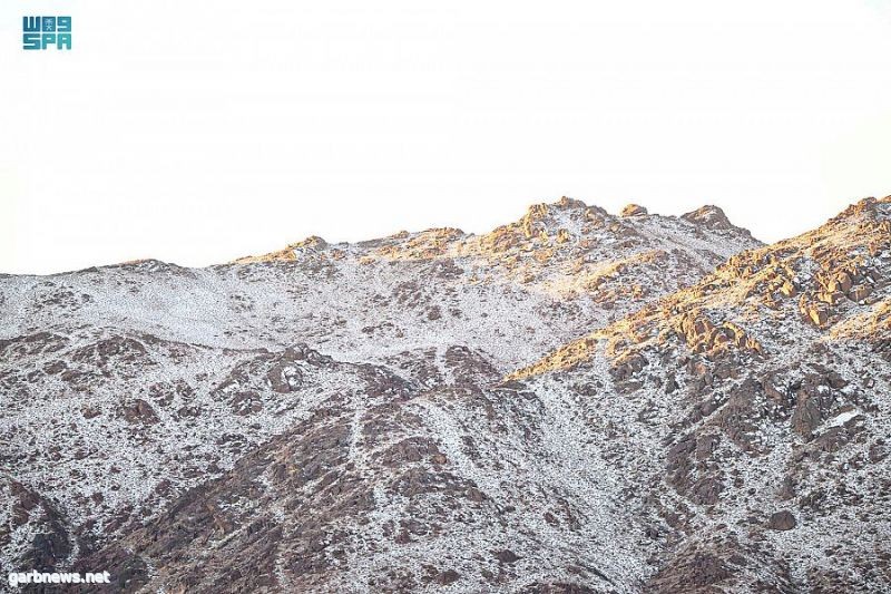 على ارتفاع 2600 متر عن سطح البحر.. قمم جبال اللوز بتبوك تكتسي البياض بعد تساقط الثلوج
