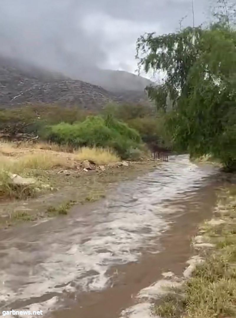 أمطار غزيرة على محافظة أضم ومراكزها الإدارية