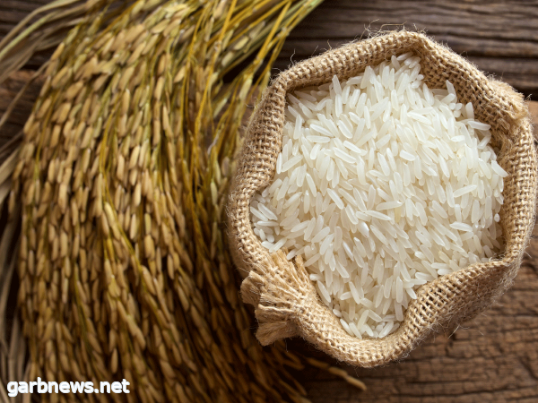 تعرف على أكبر الدول المنتجة للأرز في العالم