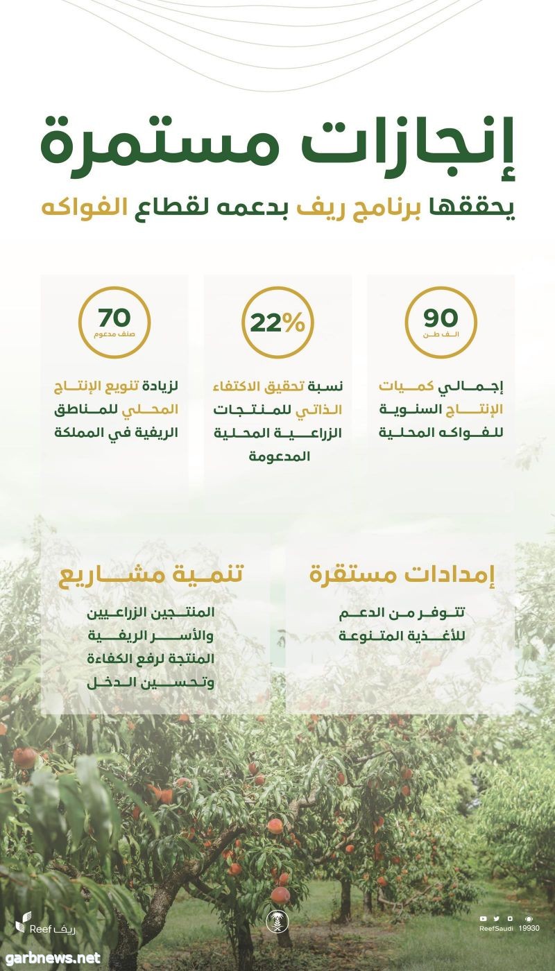 برنامج "ريف": دعم قطاع الفواكه بالمناطق الريفية أسهم في ارتفاع إنتاجها إلى (90) ألف طن هذا العام
