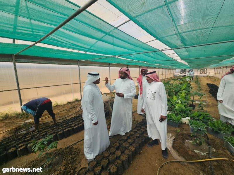 وفد المركز الوطني للتنمية الصناعية يزور مركز الأبحاث الزراعية بمنطقة جازان