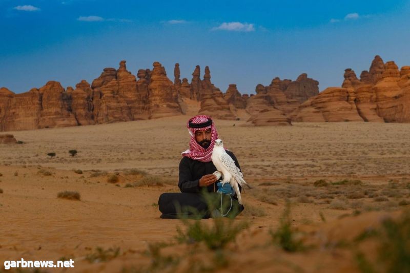 العُلا بطبيعتها الخلّابة وأجوائها الشتوية تستعد لاستقبال الصقّارين في كأس العلا للصقور