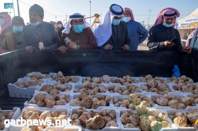 انطلاق فعاليات مهرجان الفقع بنسخته الثالثة بالقصيم