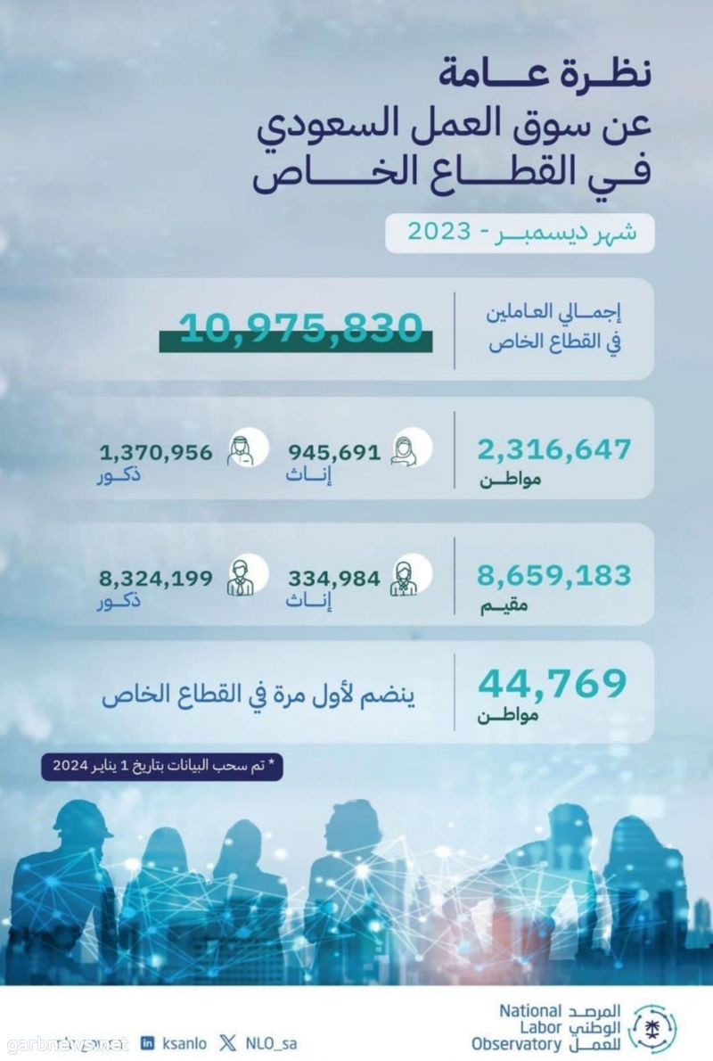 المرصد الوطني للعمل: ارتفاع إجمالي العاملين في القطاع الخاص إلى 10.9 مليون خلال شهر ديسمبر