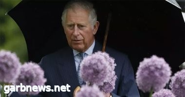 الأمير هارى يزور والده الملك تشارلز بعد تشخيص إصابته بالسرطان