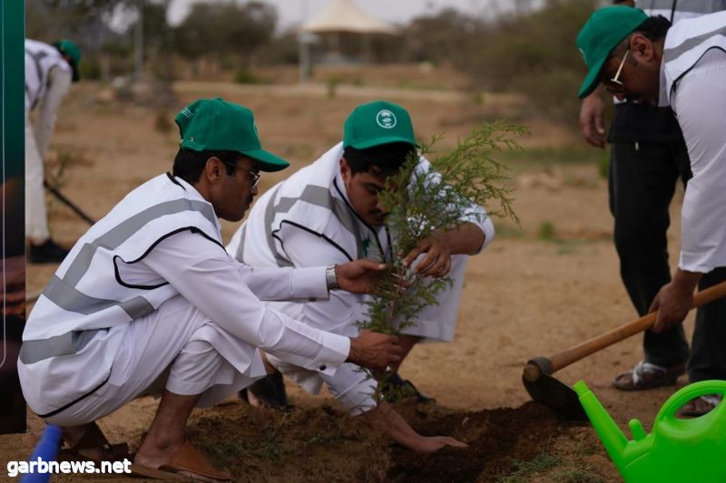 بمناسبة يوم "السعودية الخضراء".. 10 مليارات شجرة حلم يتحقق