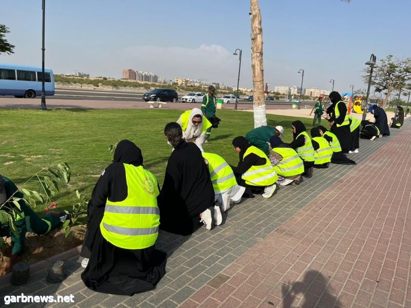 أمانة جدة تنفذ مبادرة زراعة شتلات بمناسبة أسبوع البيئة بالتعاون مع جامعة دار الحكمة