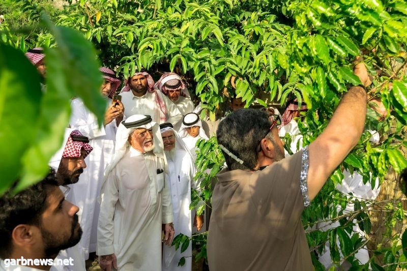 أكاديمية الشركة السعودية للقهوة تواصل رحلتها بالامتداد إلى الباحة