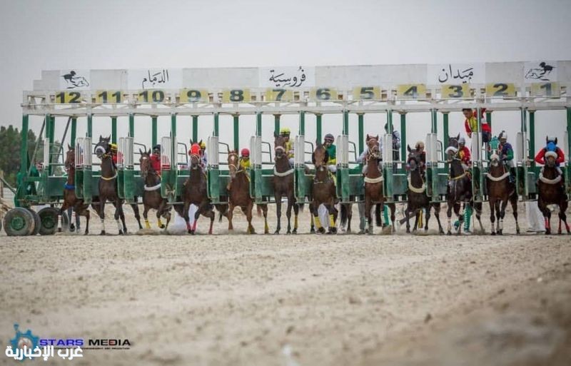 31 جواداً من ميدان الدمام يتأهبون للتأهل للمشاركة في أشواط أبطال الميادين بميدان الملك عبدالعزيز بالرياض