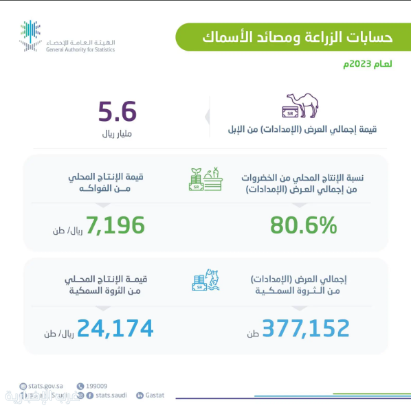 "هيئة الإحصاء " الإنتاج المحلي من الخضروات يوفر %80.6 من إجمالي احتياجات المملكة