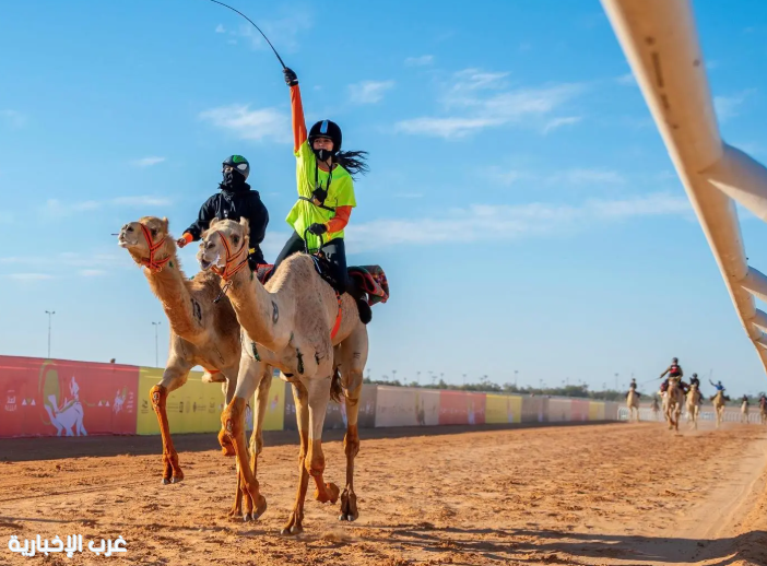 ارتفاع نسبة مشاركة الهجَّانات في مهرجان خادم الحرمين الشريفين 2025