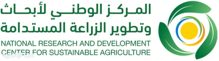 المانجو في جازان.. ثروة اقتصادية تنمو بالبحث والتطوير المانجو في جازان.. ثروة اقتصادية تنمو بالبحث والتطوير