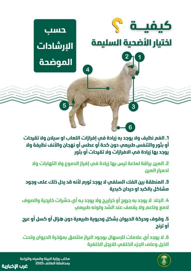“بيئة الطائف تطلق حملة توعوية لإرشاد المواطنين باختيار الأضحية السليمة قبيل عيد الأضحى” “بيئة الطائف تطلق حملة توعوية لإرشاد المواطنين باختيار الأضحية السليمة قبيل عيد الأضحى”