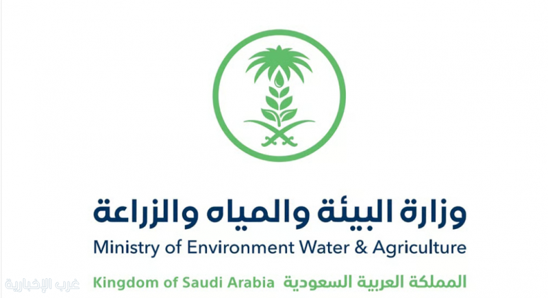 ضمن استعداداتها للحج.. «البيئة» تفسح أكثر من 351 ألف رأس ماشية لضمان وفرة الإمدادات ضمن استعداداتها للحج.. «البيئة» تفسح أكثر من 351 ألف رأس ماشية لضمان وفرة الإمدادات