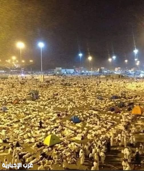 #تحت_الاضواء : نجاح موسم الحج 1446.. تنظيم استثنائي وخدمات متكاملة لضيوف الرحمن #تحت_الاضواء : نجاح موسم الحج 1446.. تنظيم استثنائي وخدمات متكاملة لضيوف الرحمن