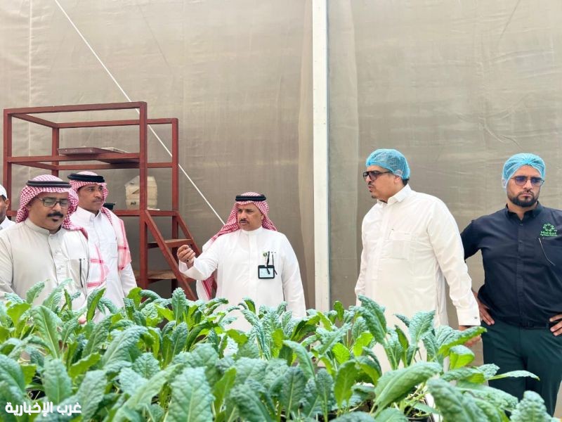 بيئة الجموم تتفقد مشروع “مشكات” للزراعة المائية وتبحث سبل التعاون المشترك بيئة الجموم تتفقد مشروع “مشكات” للزراعة المائية وتبحث سبل التعاون المشترك