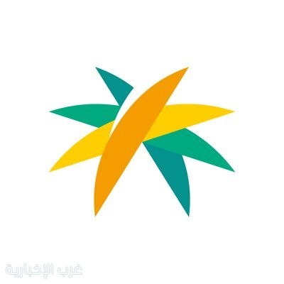 امتلاك السيارات قد يحرمك من الضمان: "الموارد البشرية" توضح شرطين يؤثران على الاستحقاق امتلاك السيارات قد يحرمك من الضمان: "الموارد البشرية" توضح شرطين يؤثران على الاستحقاق
